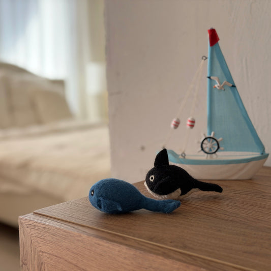 海の王様セット