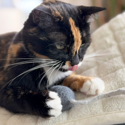 長いしっぽにワクワク