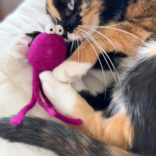 ぷかぷかセット