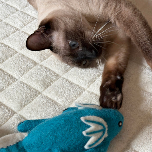 他のおもちゃに比べて大きめです