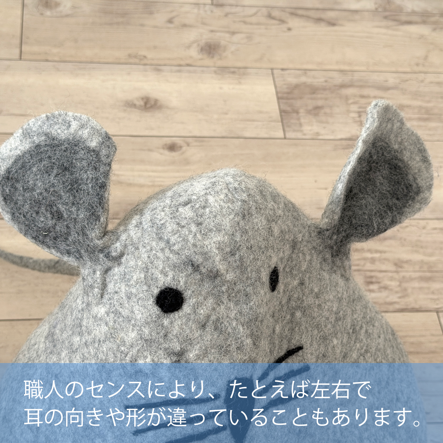 カメ
