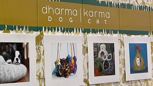 Karma Catとの出会い ― 連載第1回