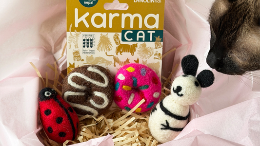 NEW！うちの子記念日ギフト 発売開始