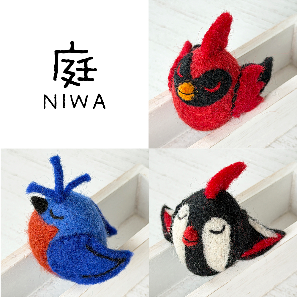 庭のバードはこの3羽