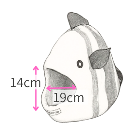 入口のおおまかなサイズです