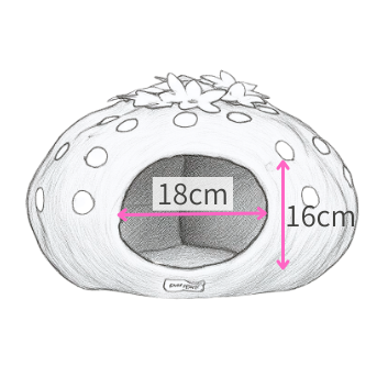 入口のおおまかなサイズです