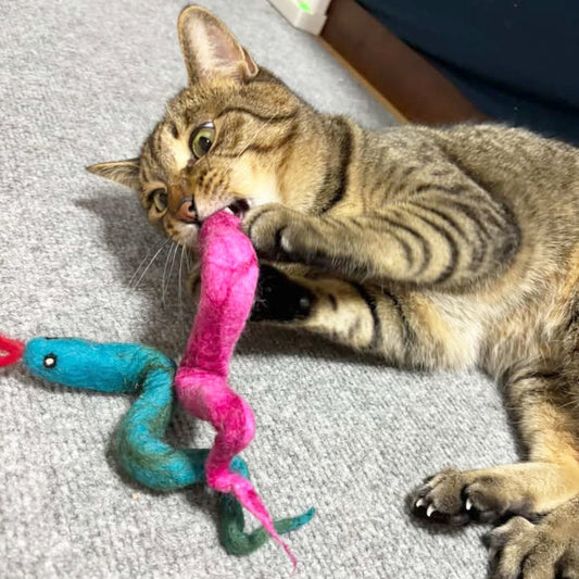 ヘビをやっつける、ラテちゃん（２歳男の子）