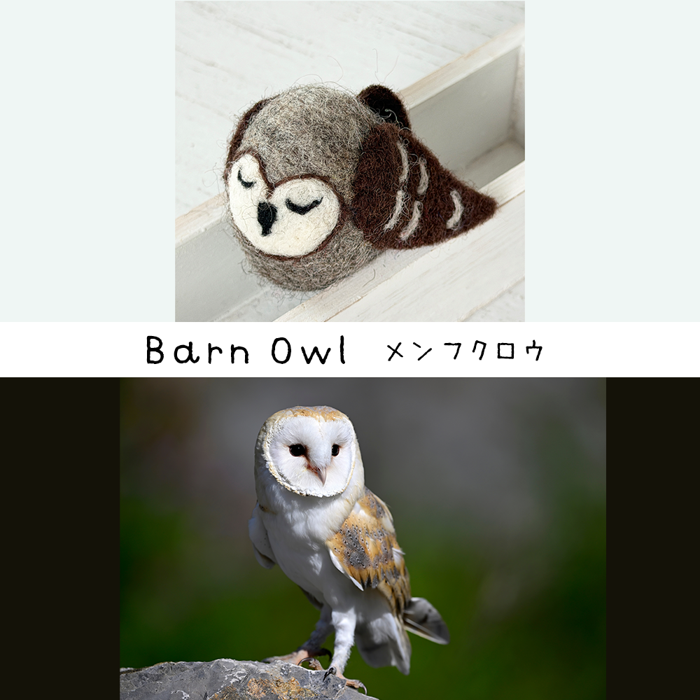 《New》バード