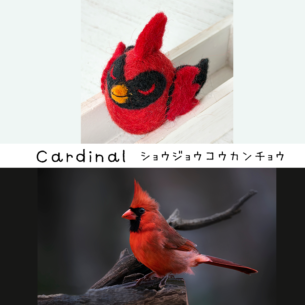 《New》バード