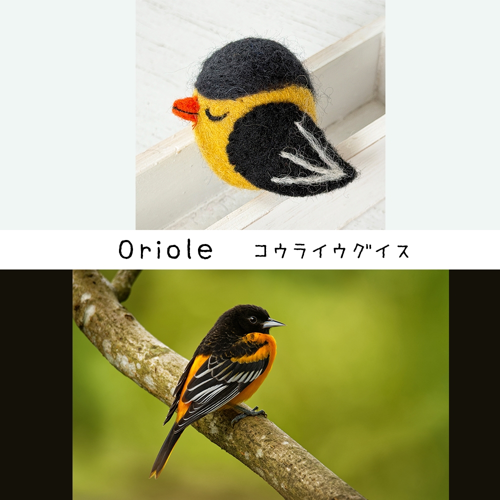 《New》バード