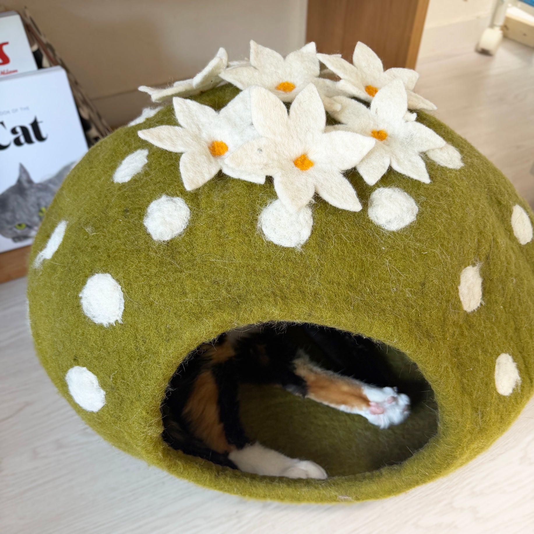 中に誰かいます