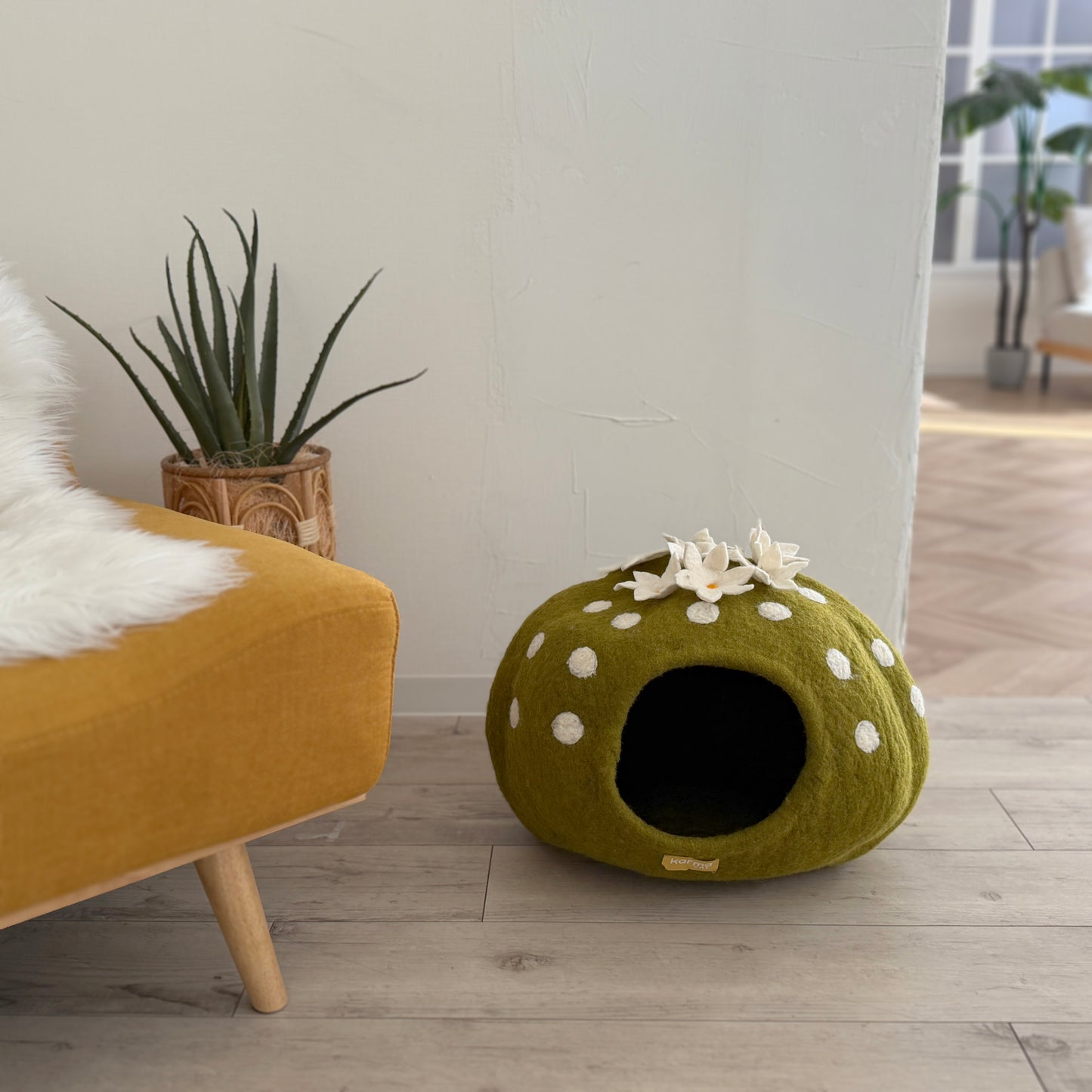 花サボテンのウーリーちぐら