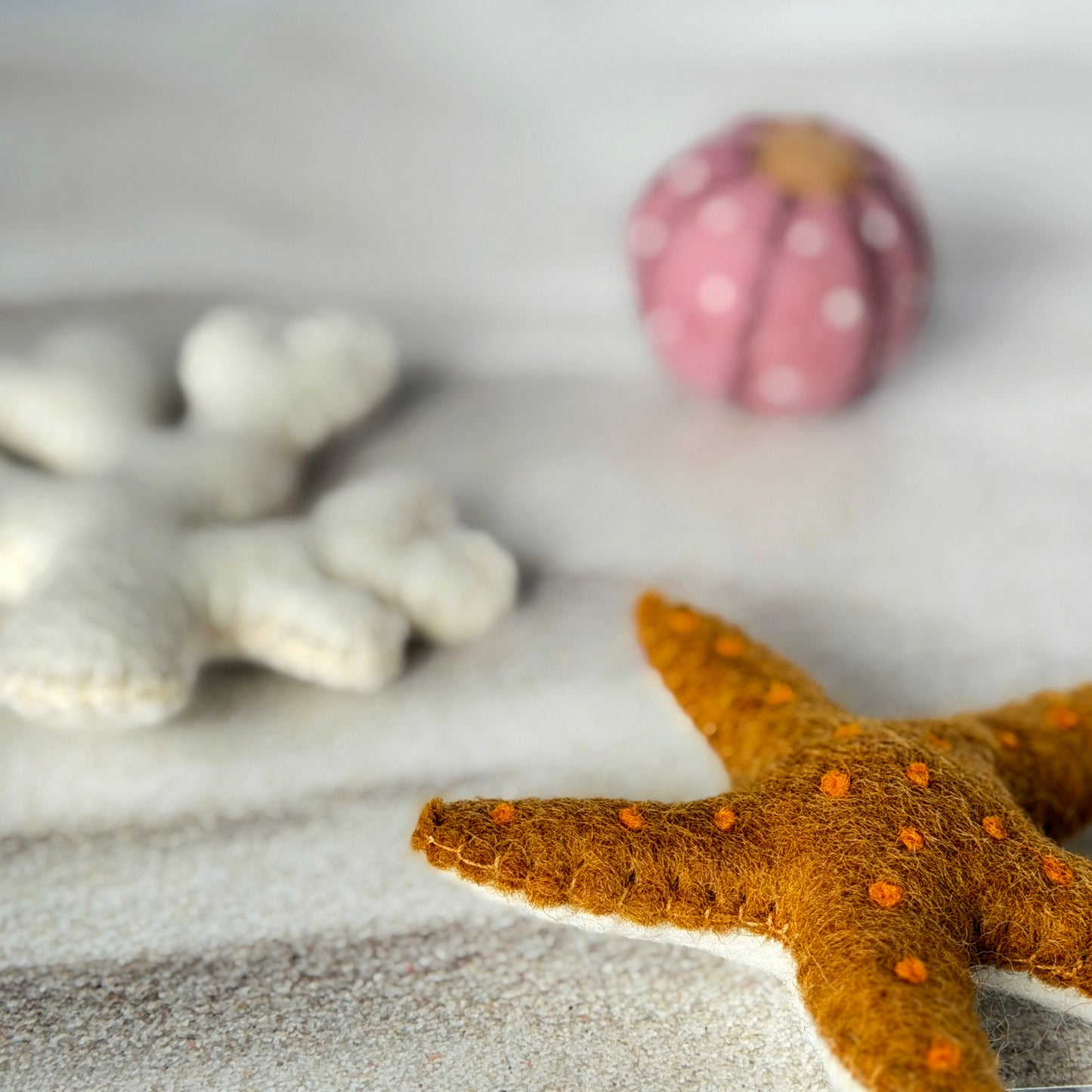 ビーチの友達セット