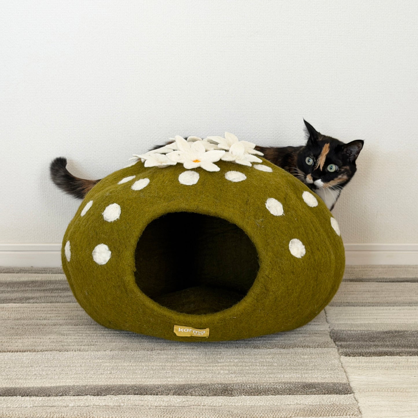 花サボテンのウーリーちぐら