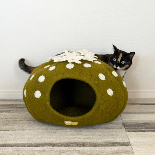 花サボテンのウーリーちぐら