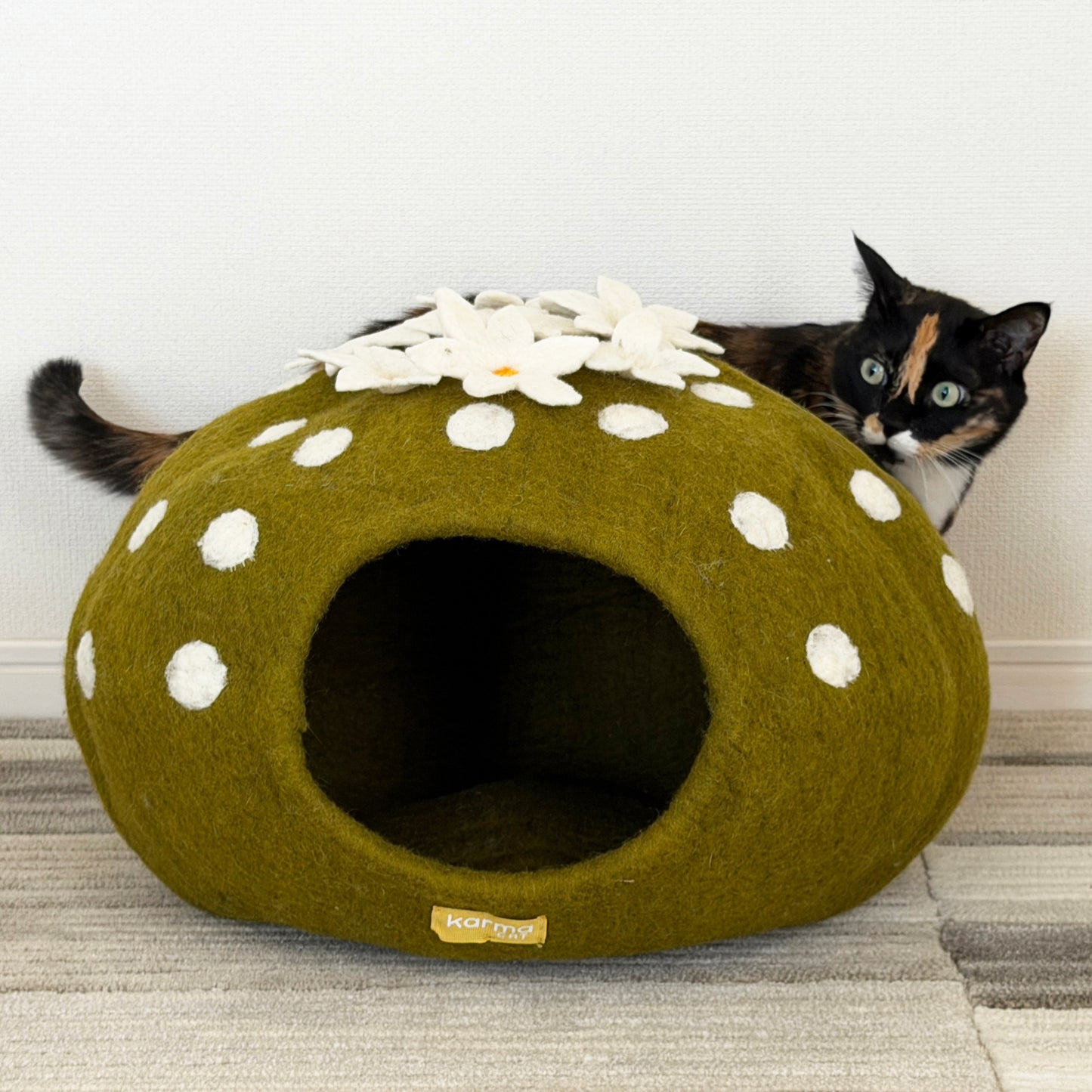 花サボテンのウーリーちぐら