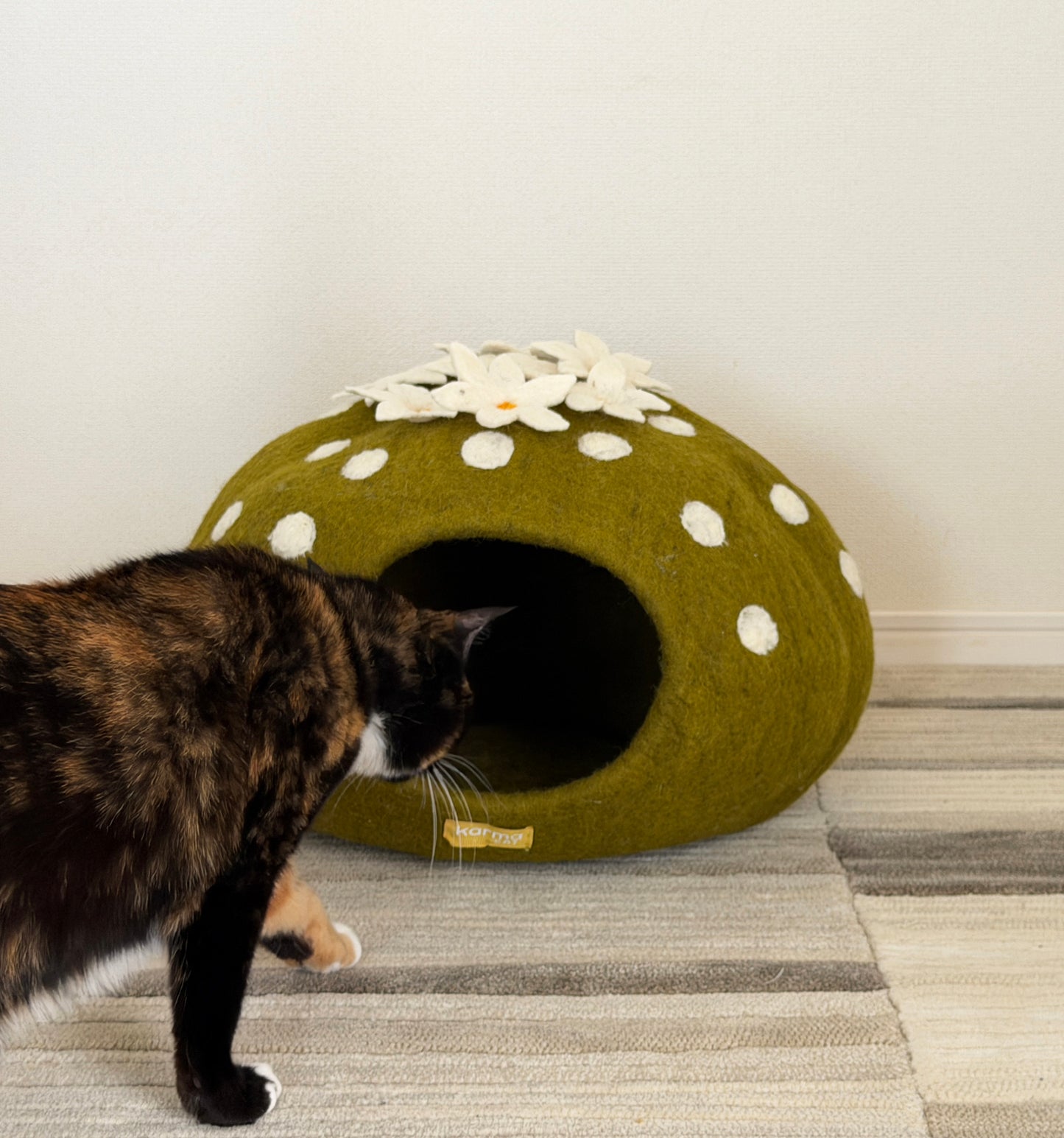 花サボテンのウーリーちぐら