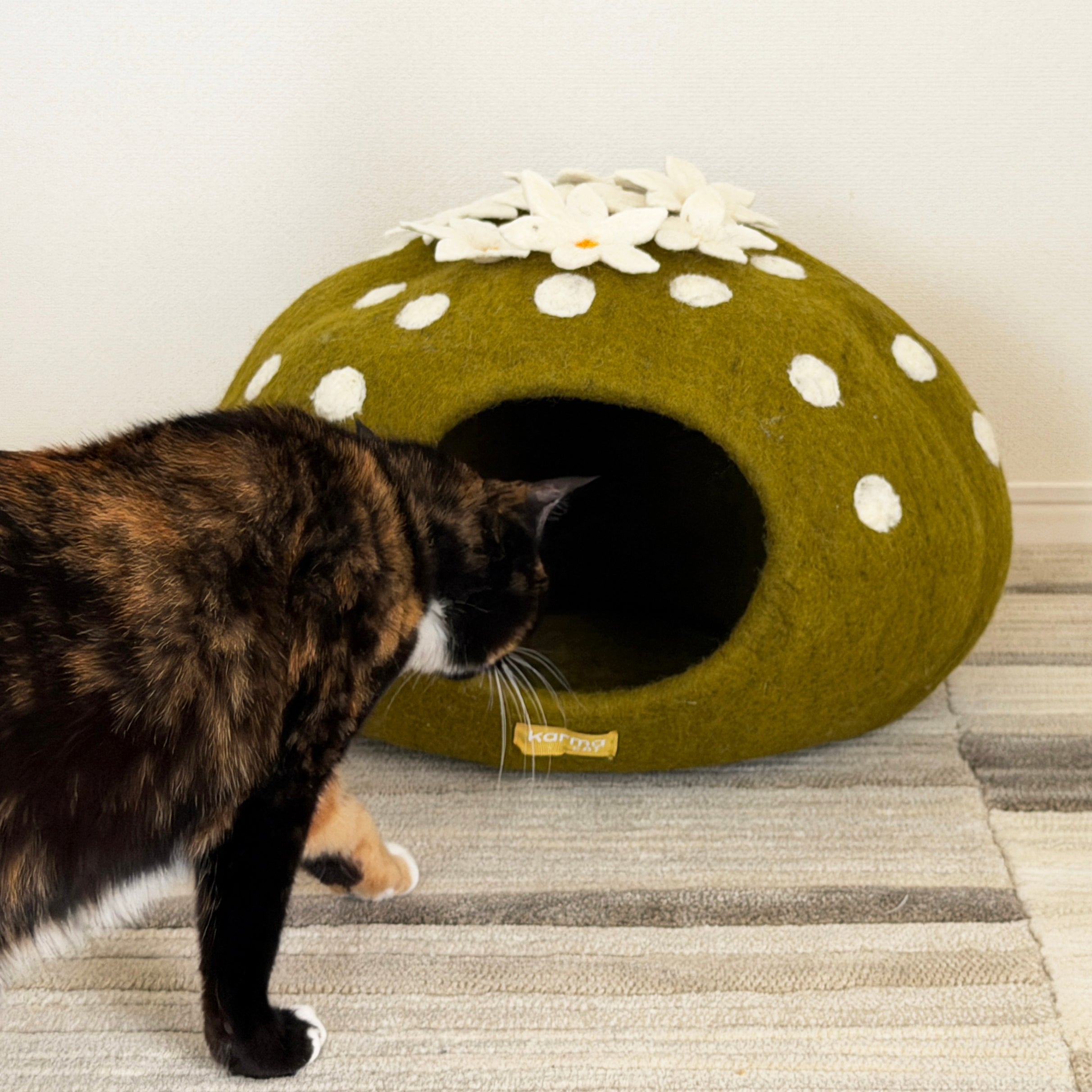 猫ちぐら サボテン｜天然ウール100% 手作り・Tortie (トーティー)