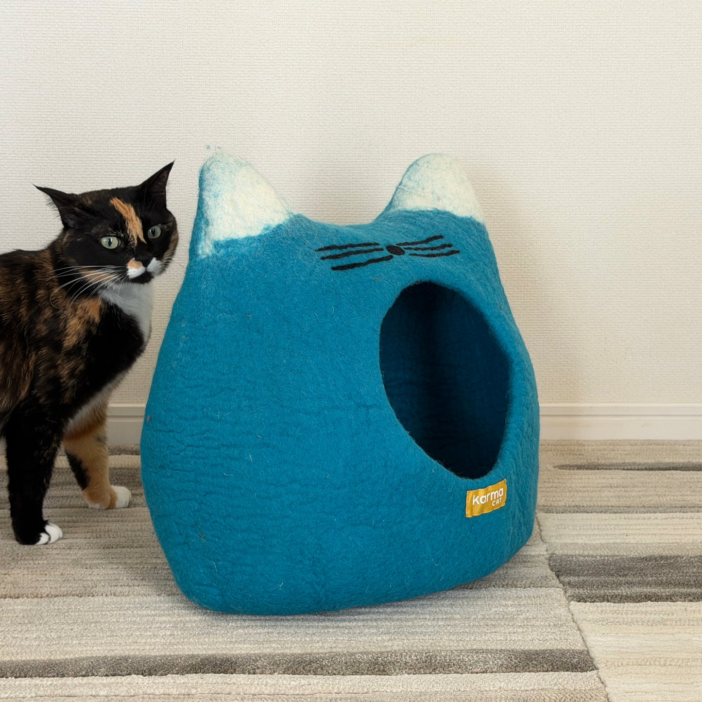 青空ねこのウーリーちぐら