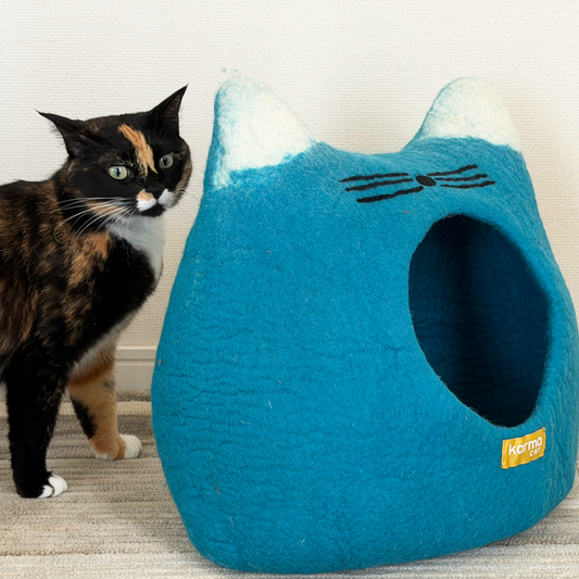 青空ねこのウーリーちぐら