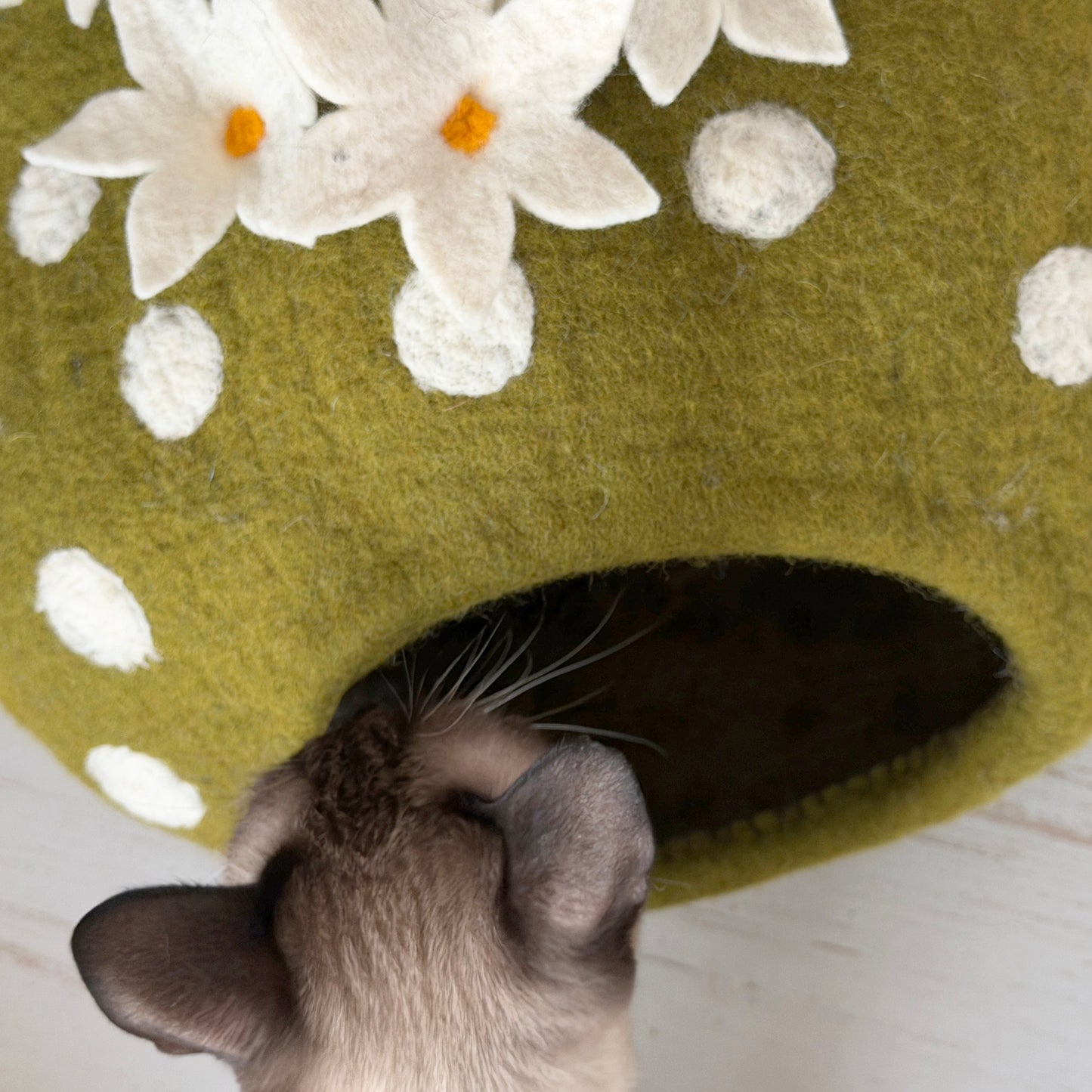 花サボテンのウーリーちぐら