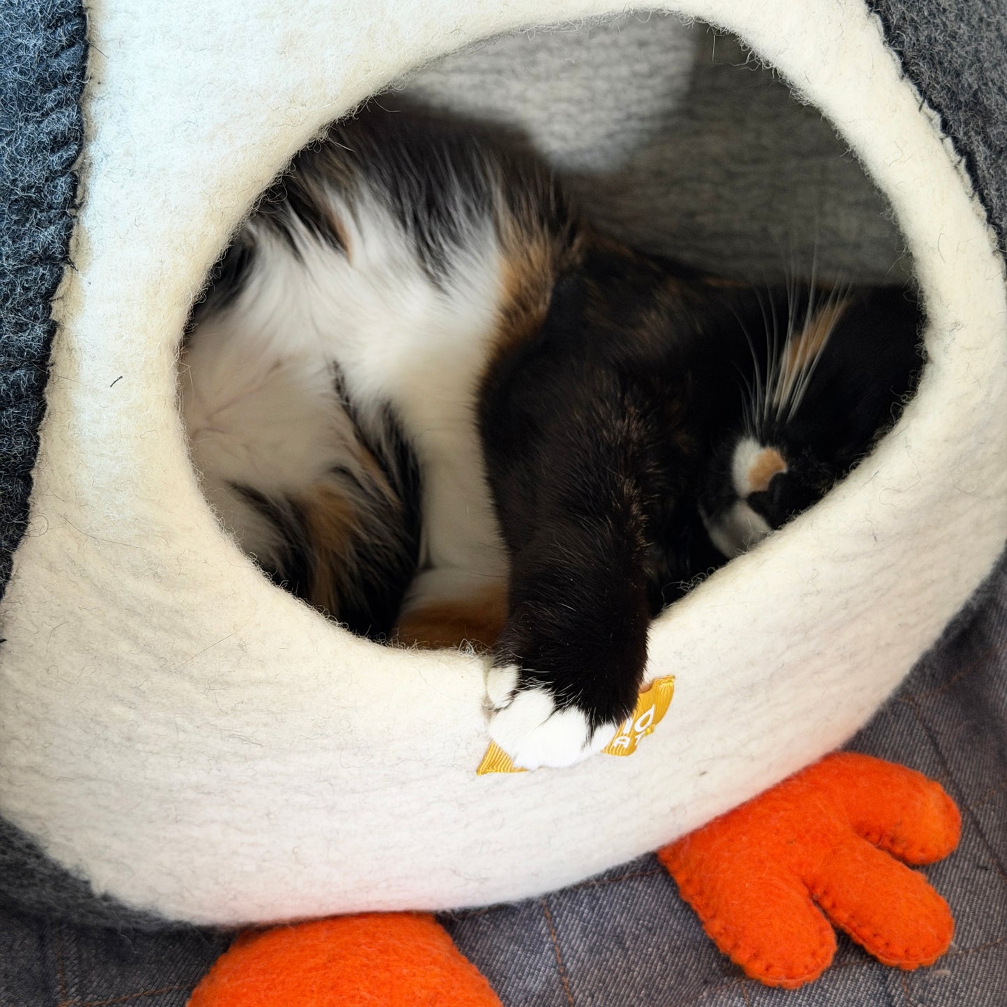 手だけ出てもかわいいです