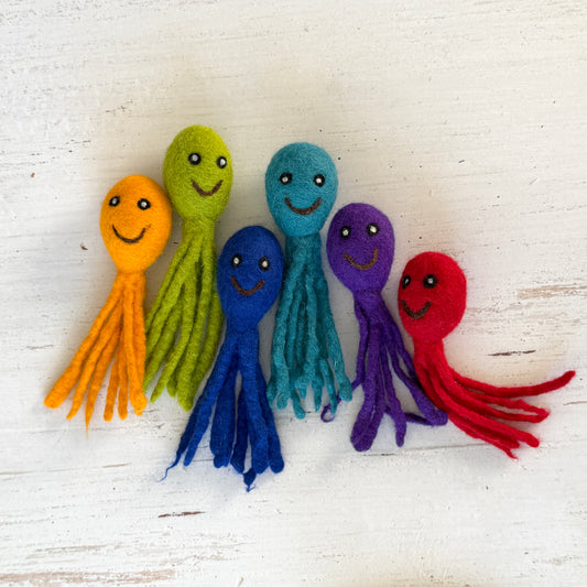 カラフルなタコ。仲間は全6色です