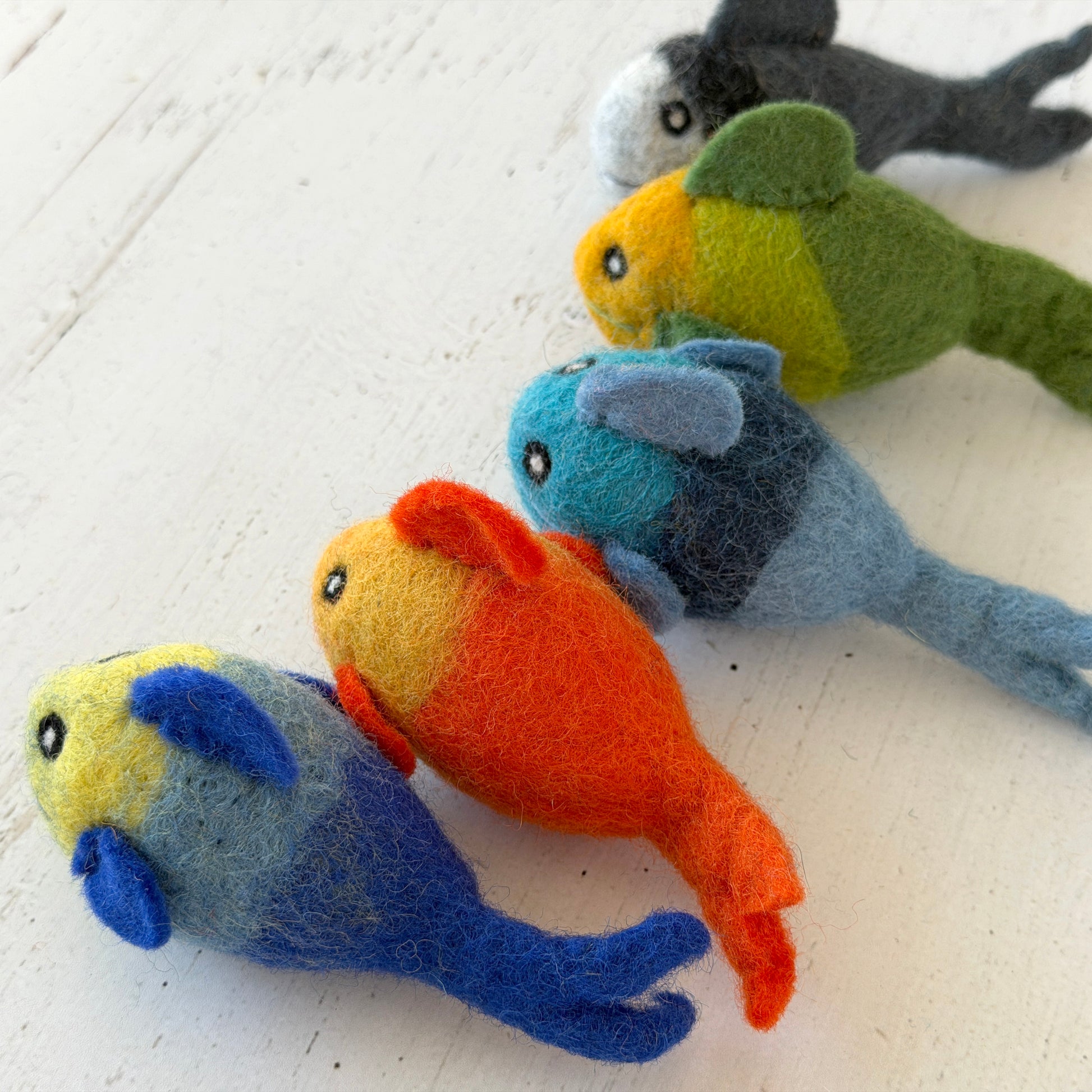 手前から、ロイヤルブルー、ジューシーオレンジ、スカイブルー、クローバーグリーン、モダングレー