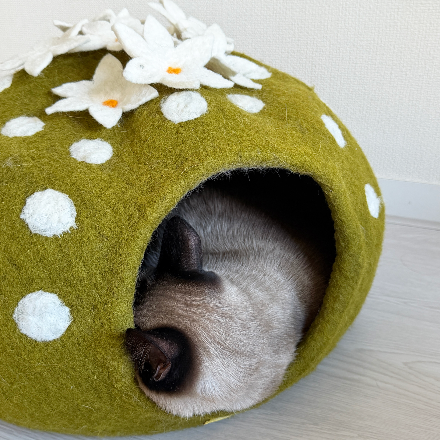 花サボテンのウーリーちぐら