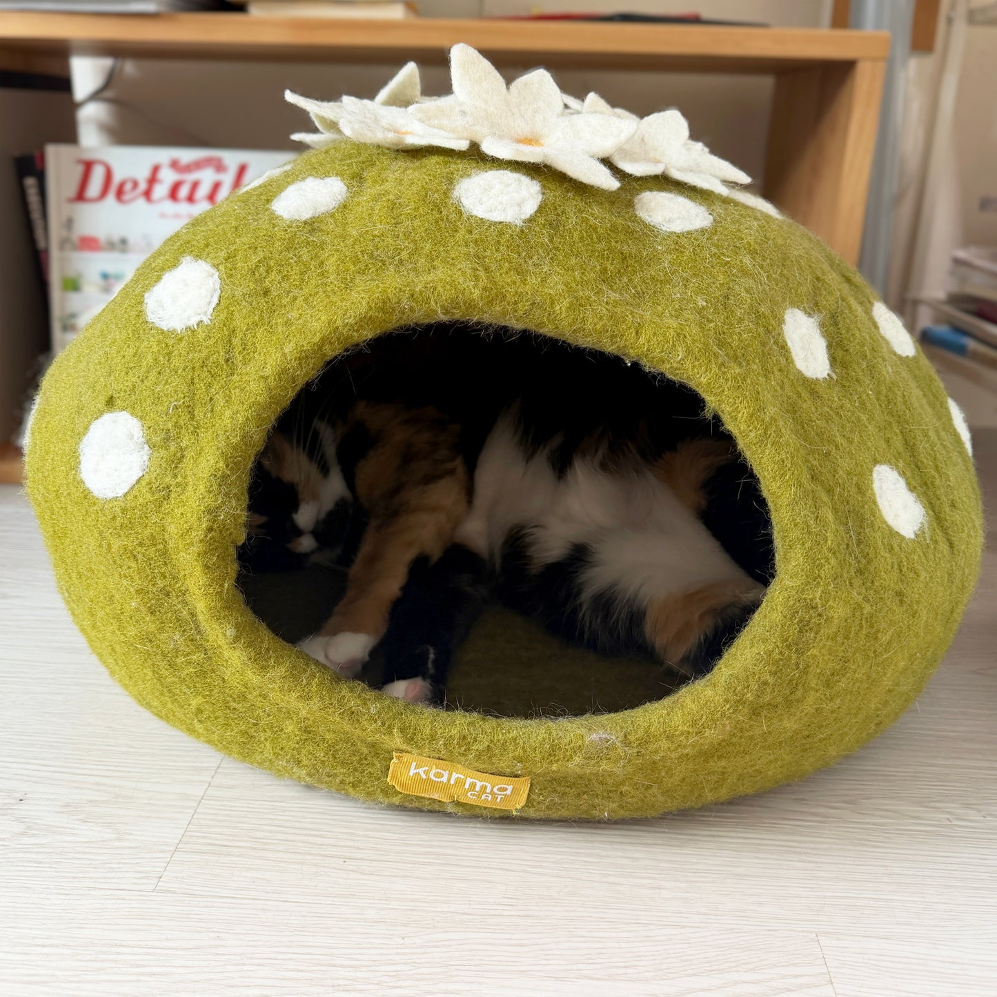 おなかを出して寝ているモフモフがいます