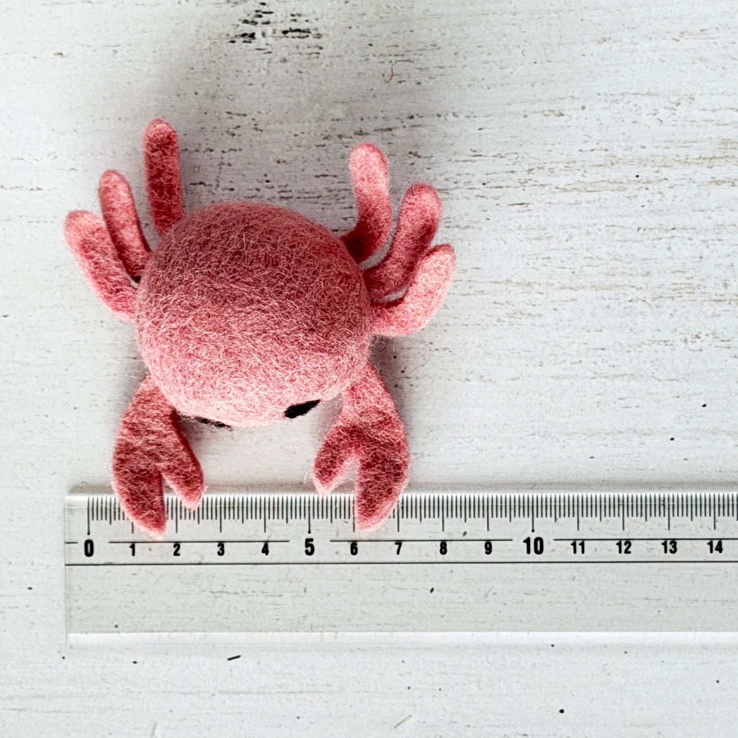 個体差があるためサイズは参考までに