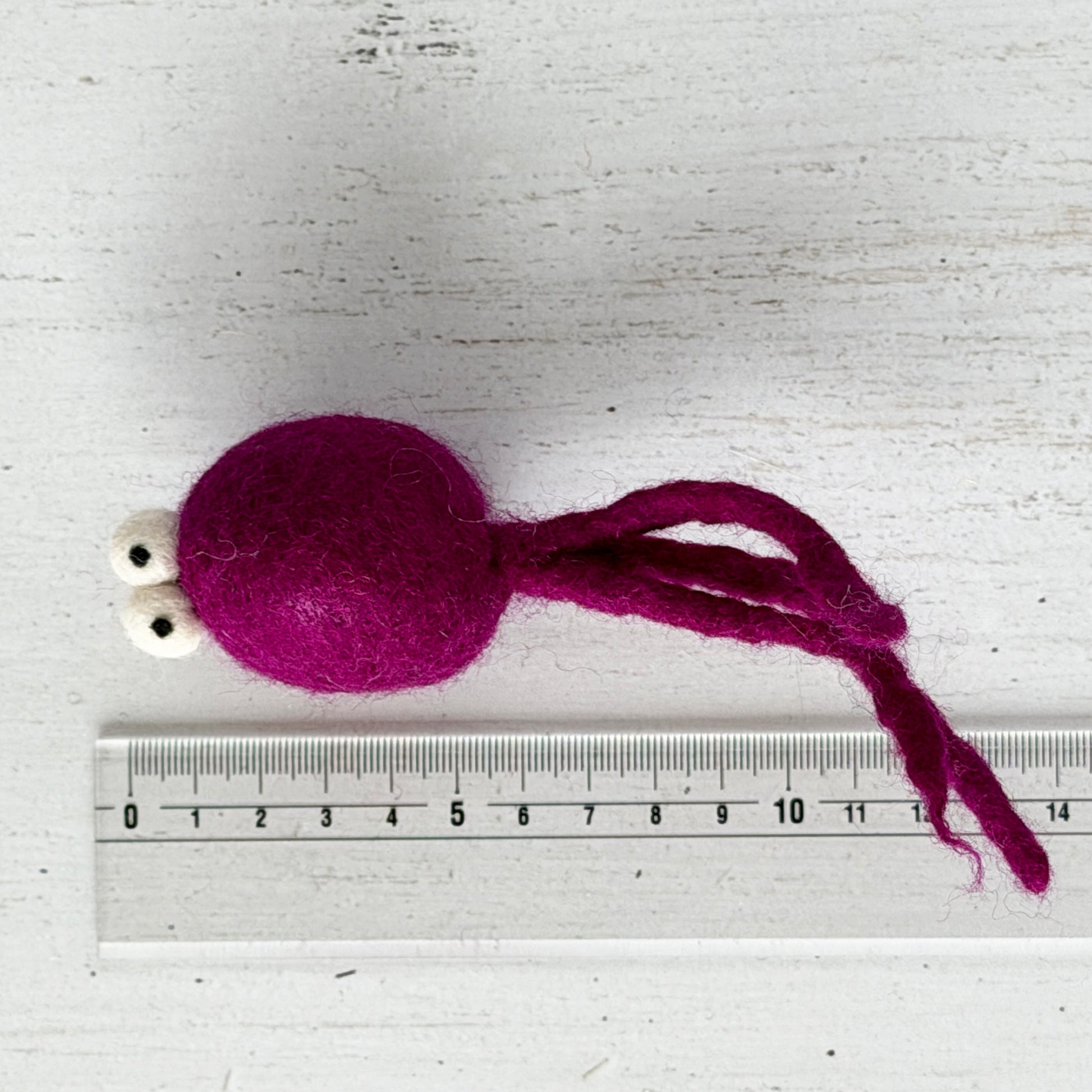 個体差があるためサイズは参考までに