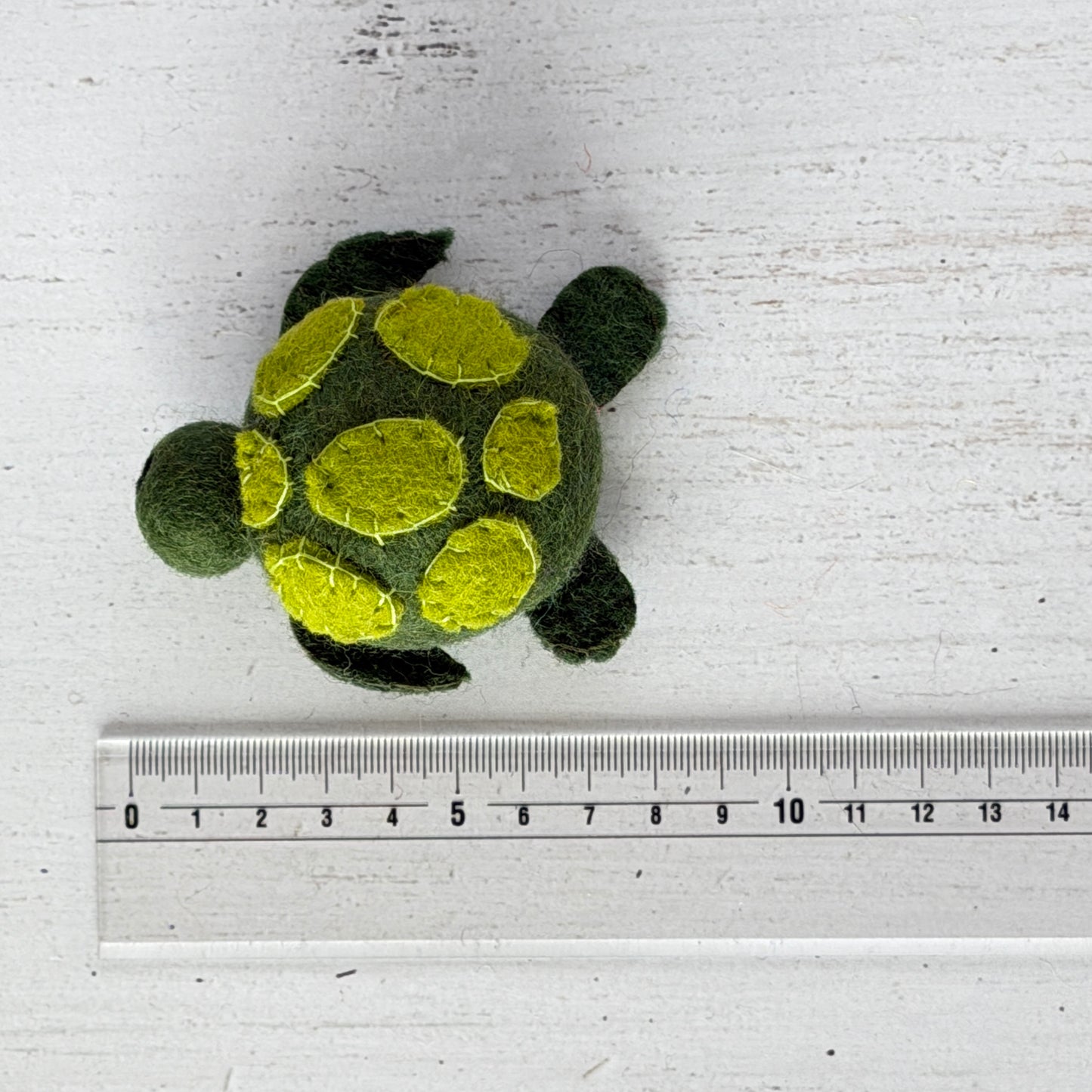 個体差があるためサイズは参考までに