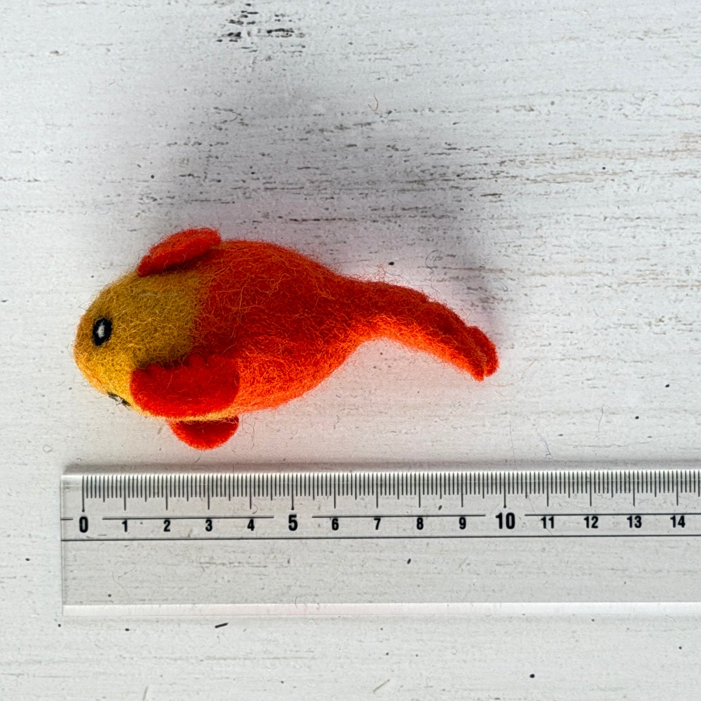 個体差があるためサイズは参考までに