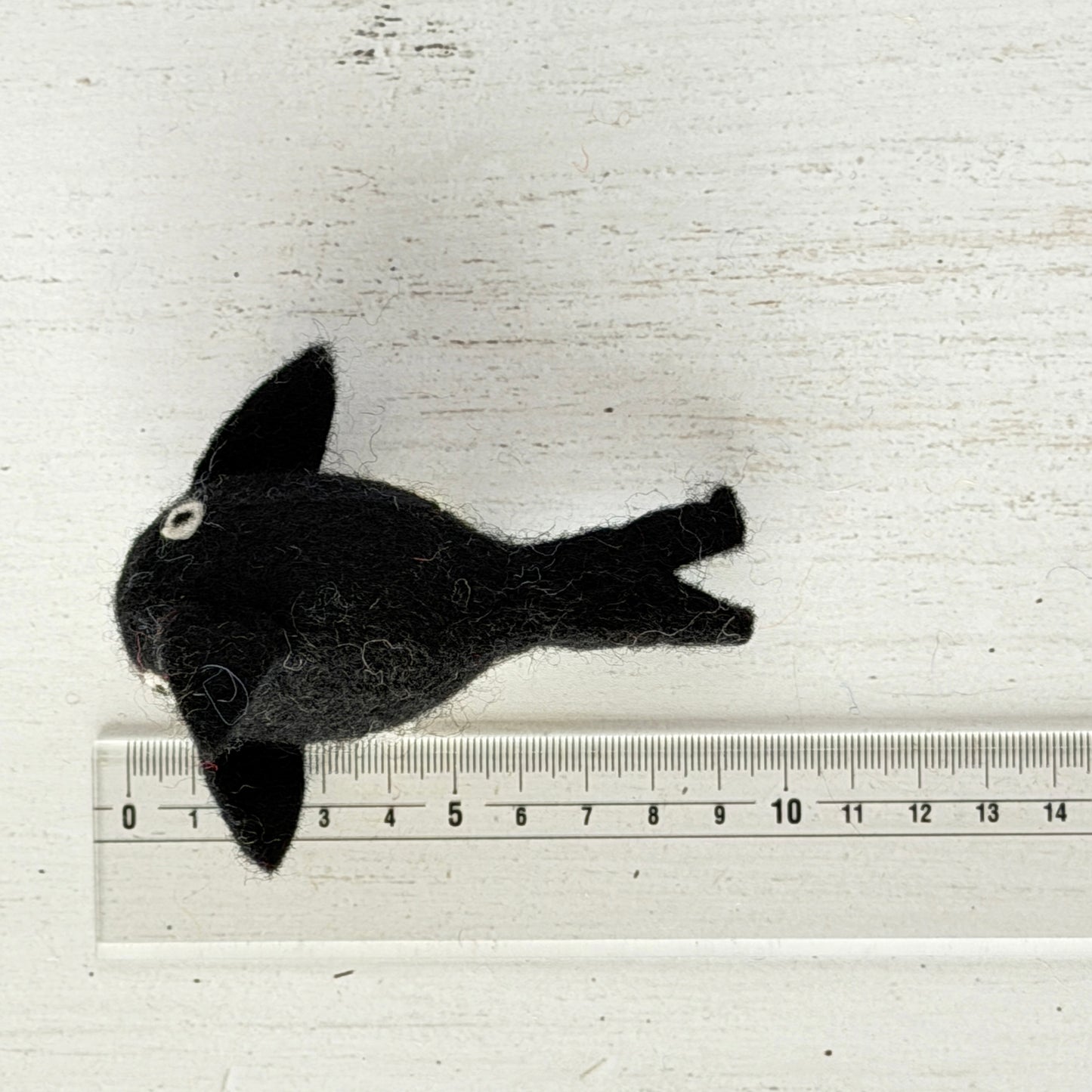 個体差があるためサイズは参考までに