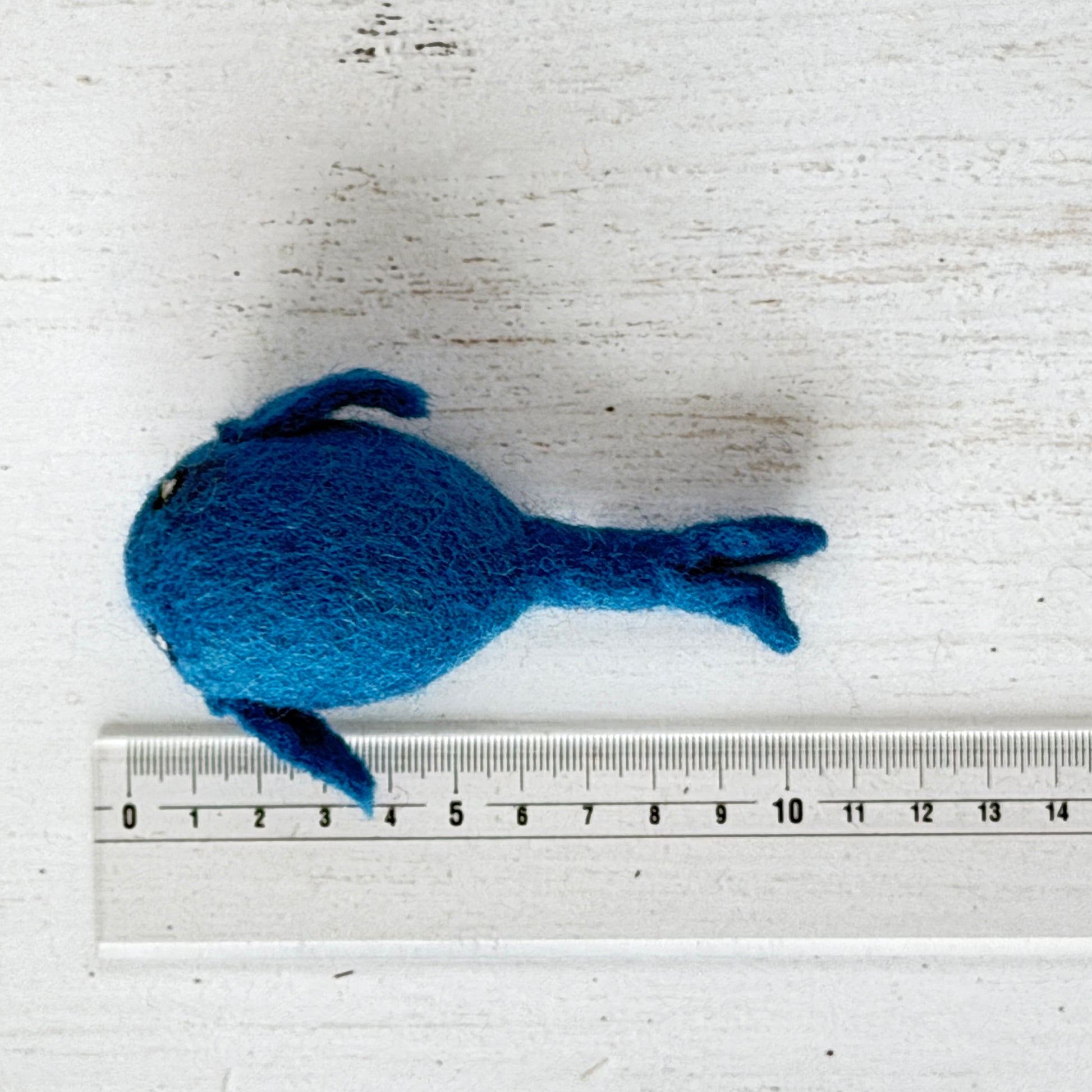 個体差があるためサイズは参考までに