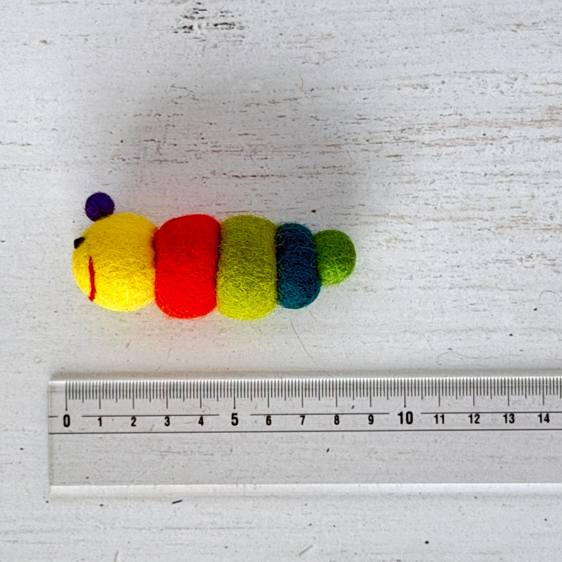 個体差があるためサイズは参考までに