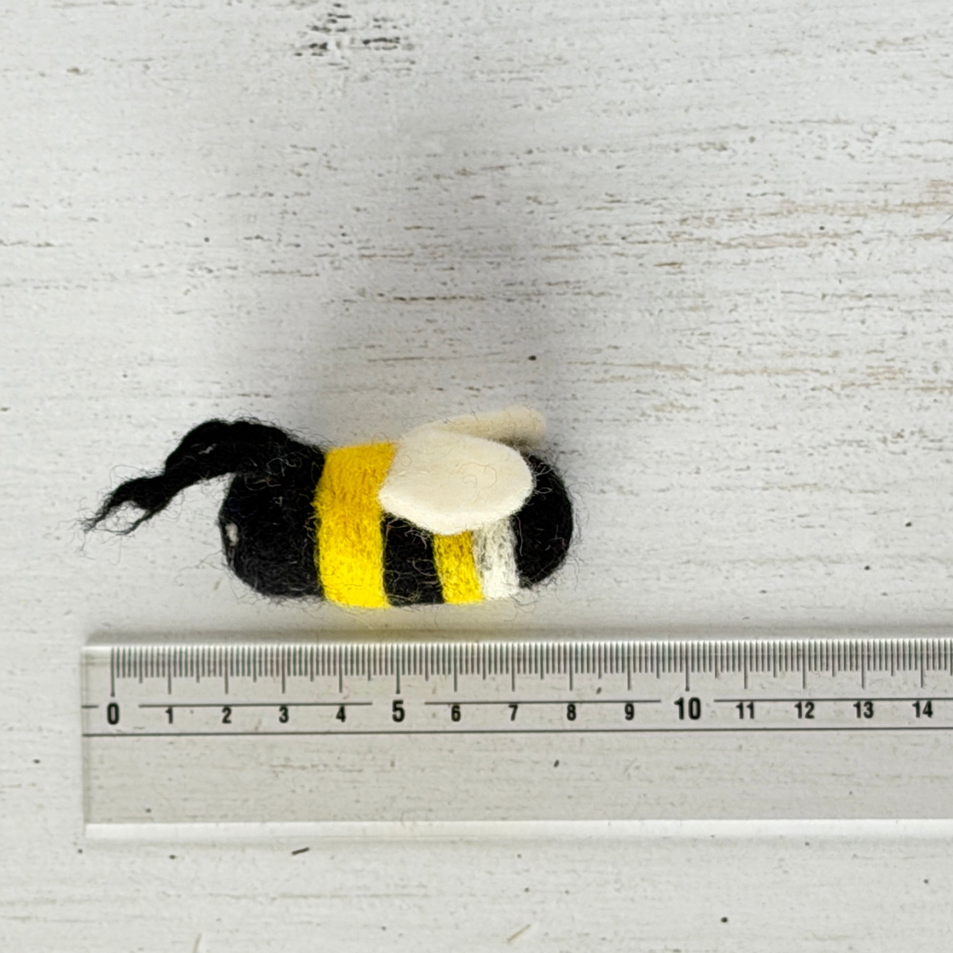 個体差があるためサイズは参考までに