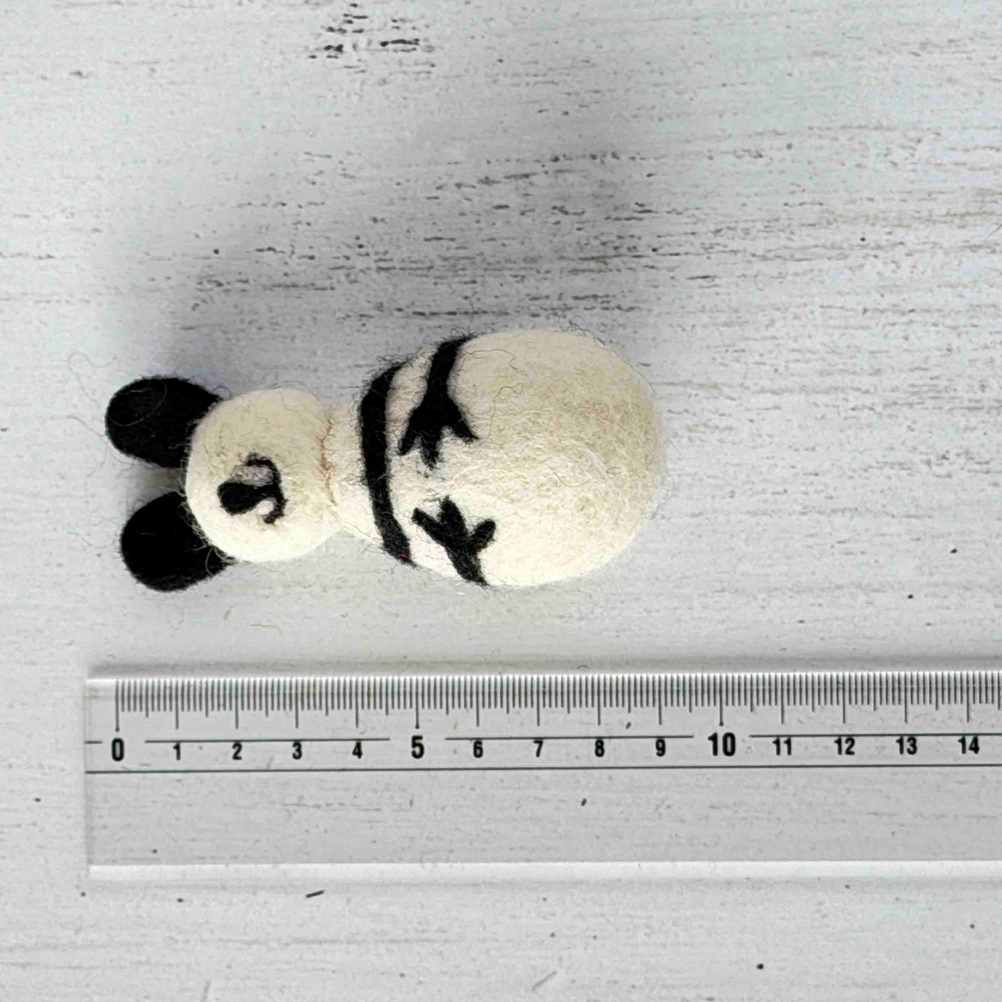 動物園 コンプリートセット