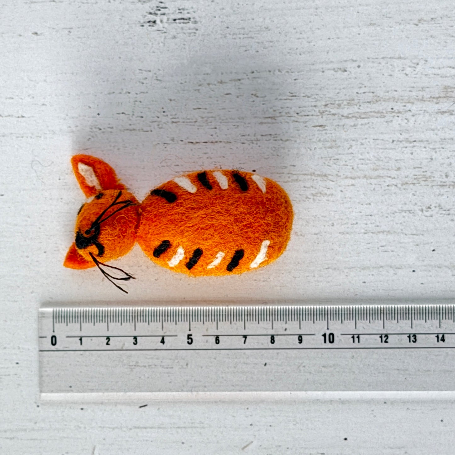 動物園 コンプリートセット