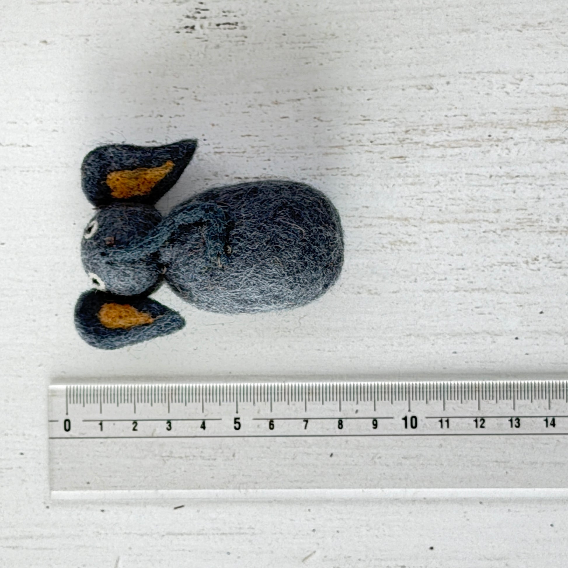 個体差があるためサイズは参考までに