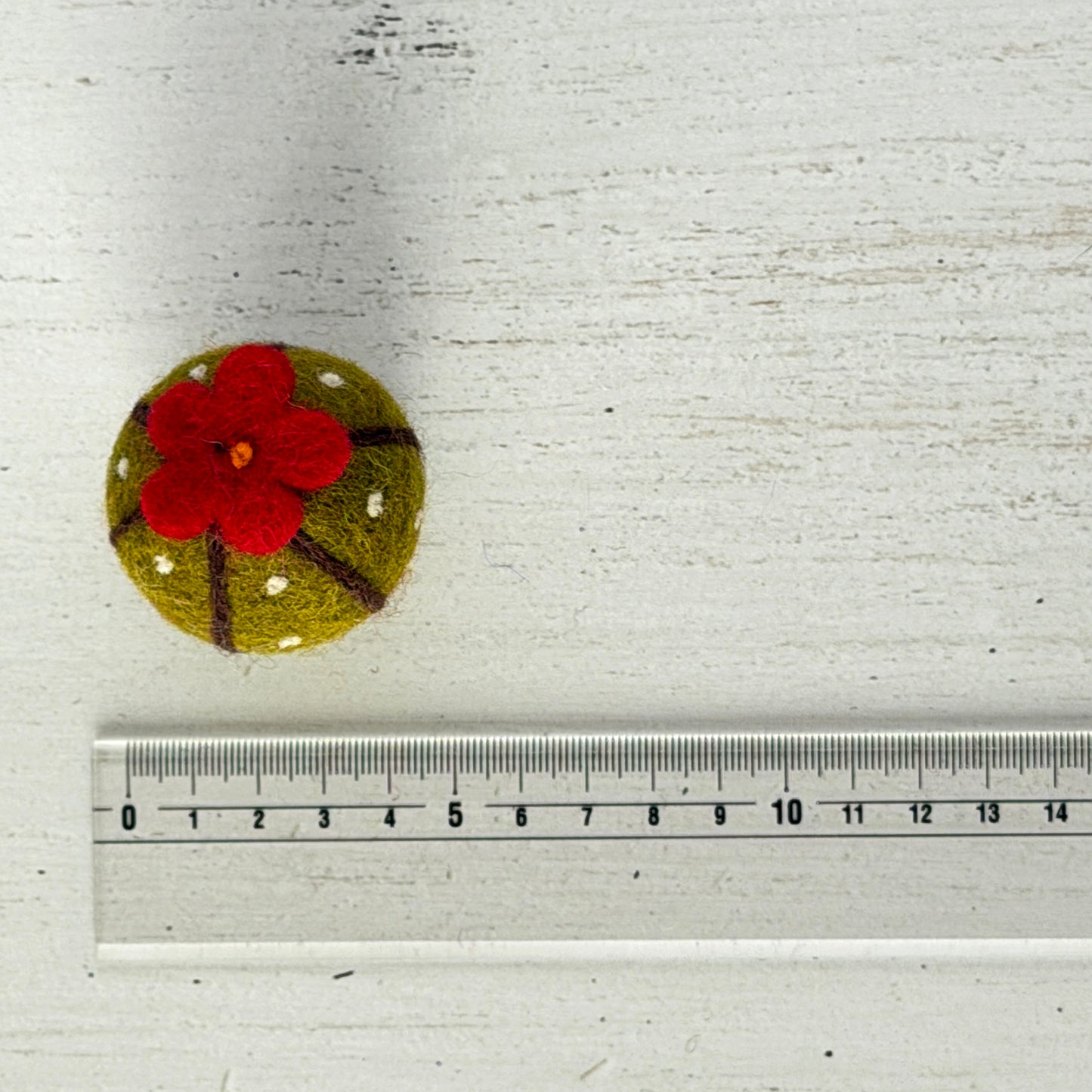 個体差があるためサイズは参考までに