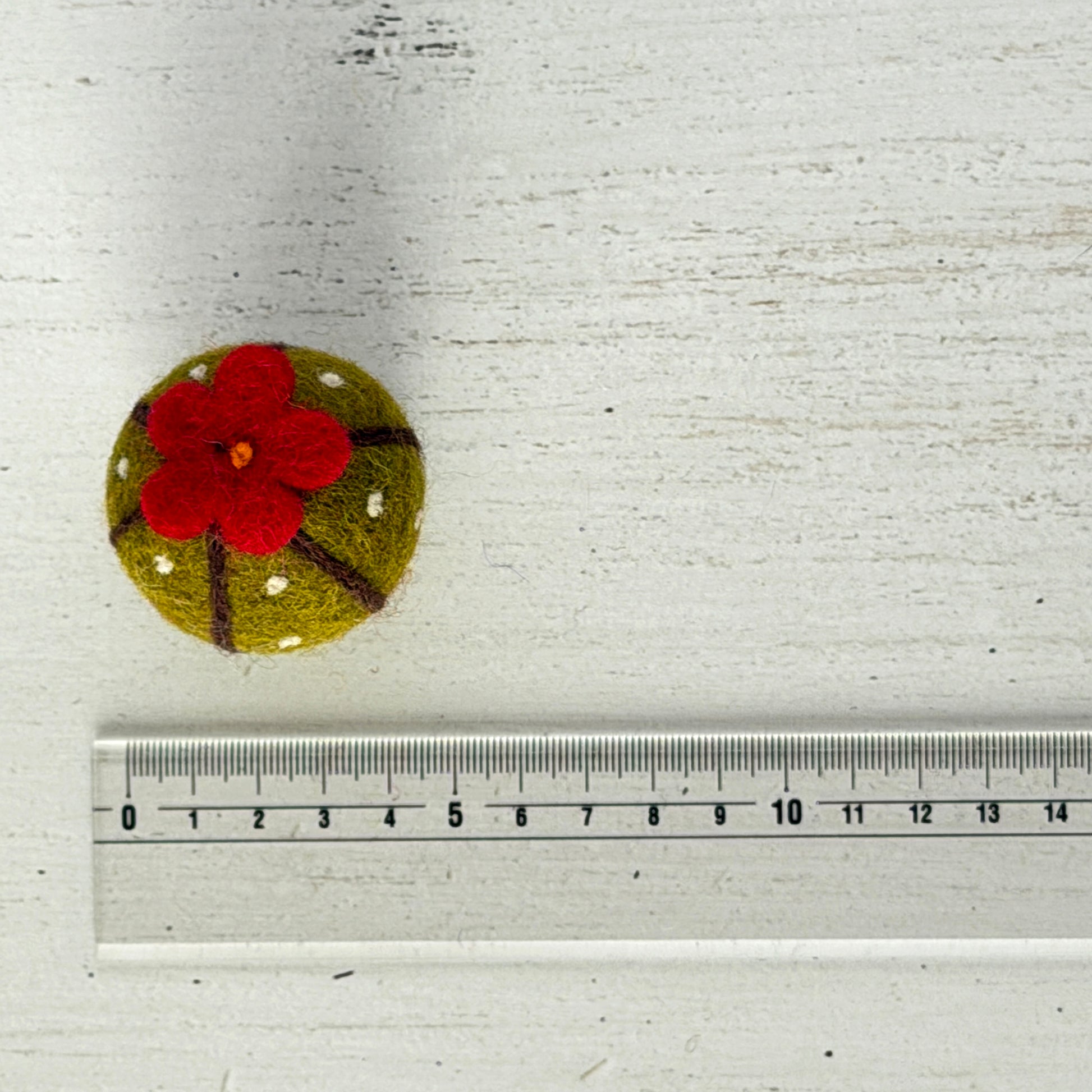 個体差があるためサイズは参考までに