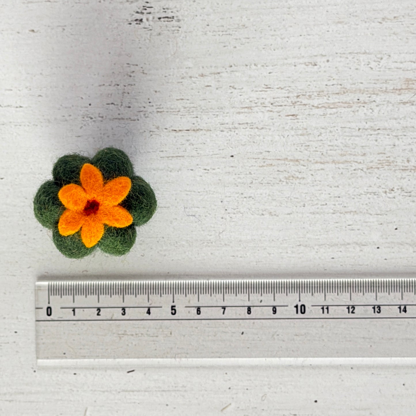 メキシコ土産 コンプリートセット