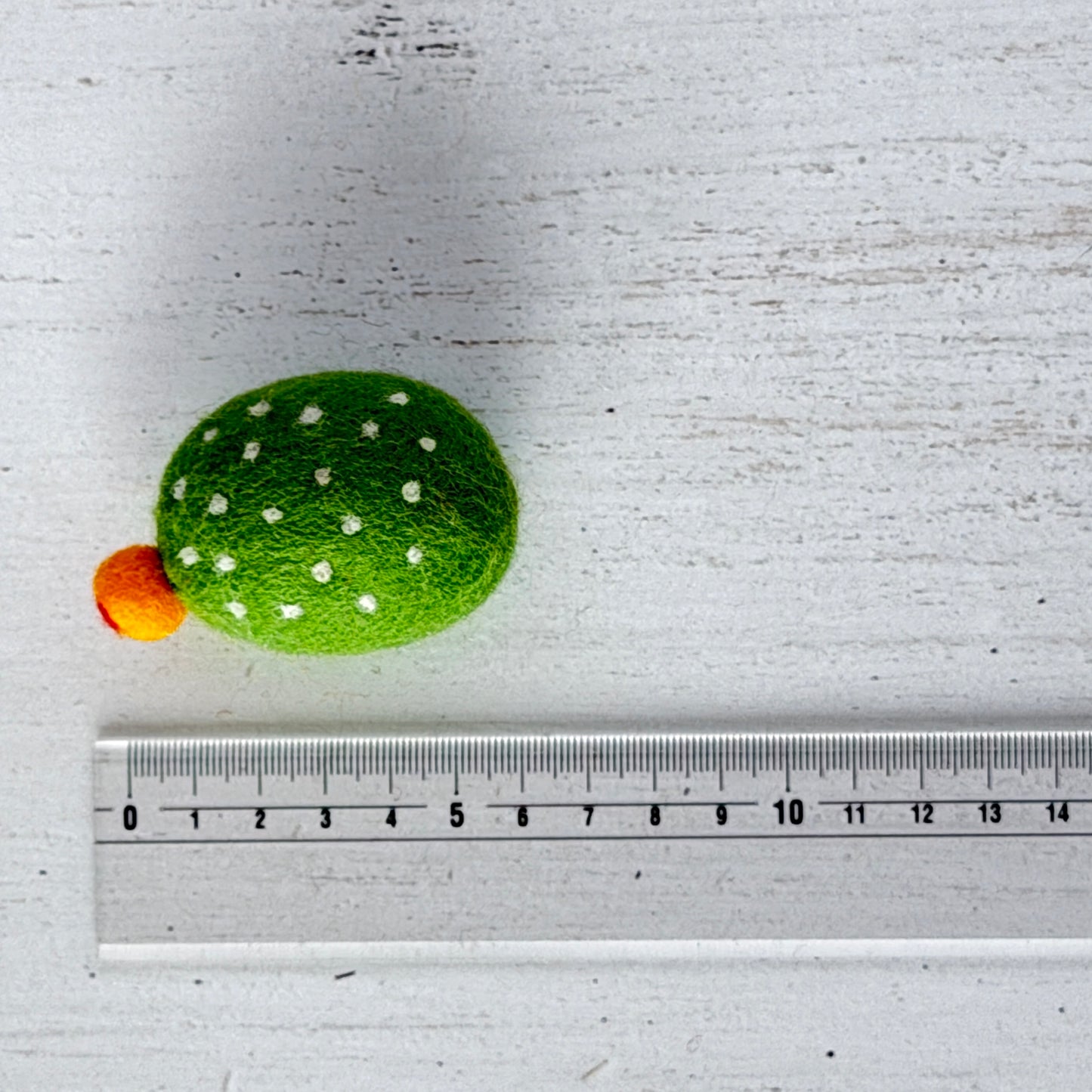 メキシコ土産 コンプリートセット