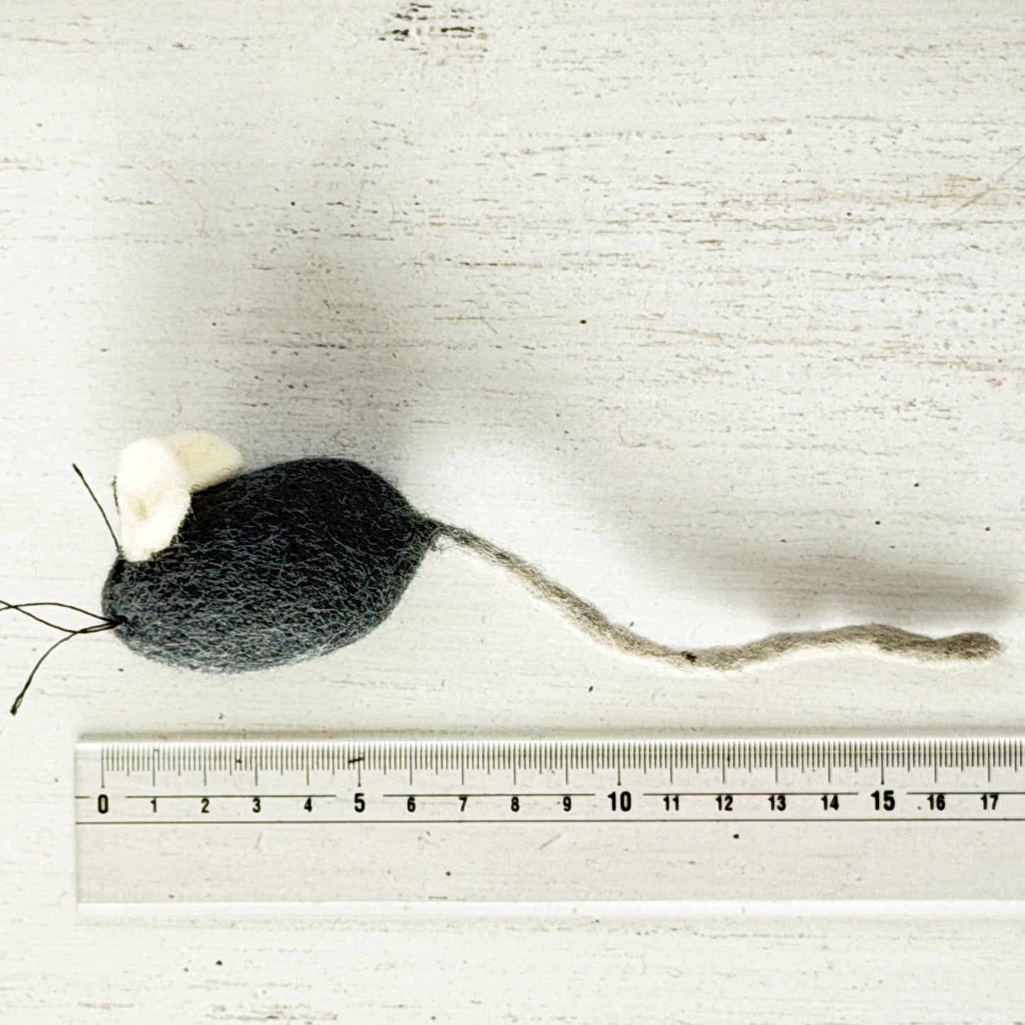 個体差があるためサイズは参考までに