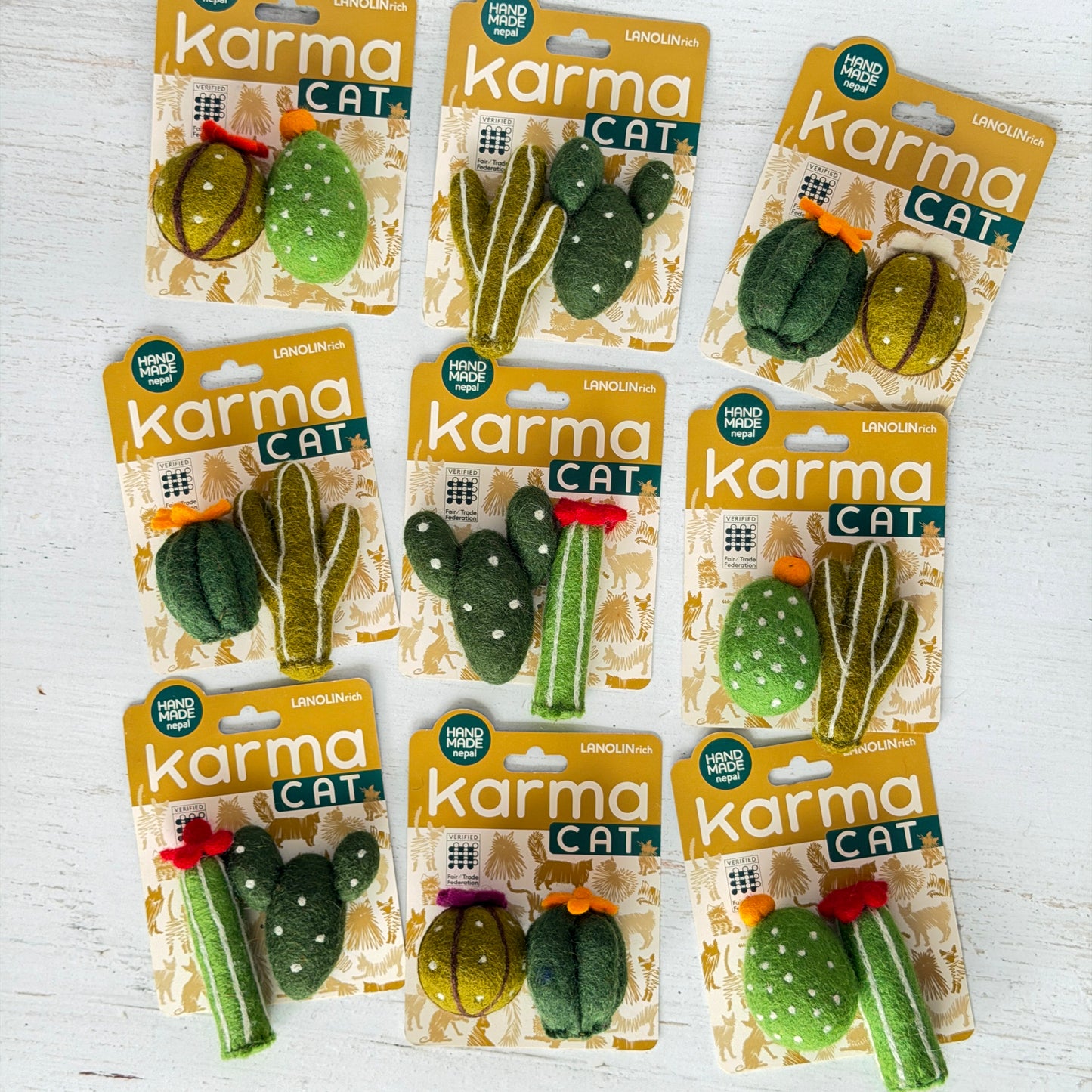 色も形もさまざまなサボテンの2つセット。組み合わせはお任せです