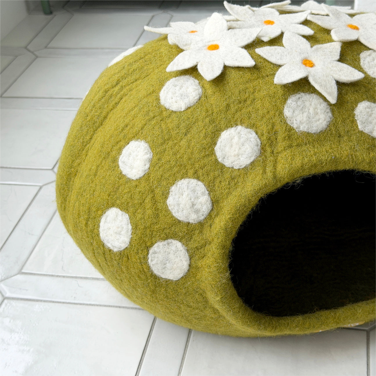 花サボテンのウーリーちぐら