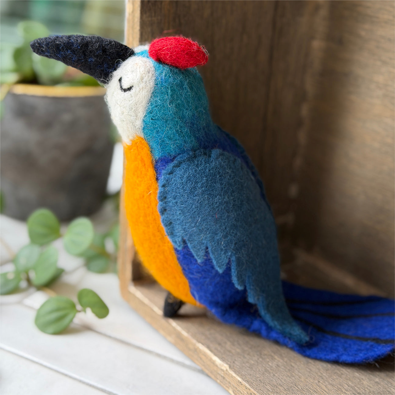 《New》青いオウムのけりけり