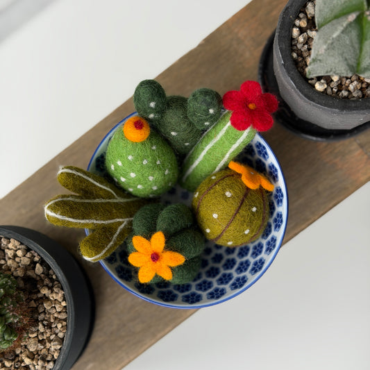 メキシコ土産 コンプリートセット